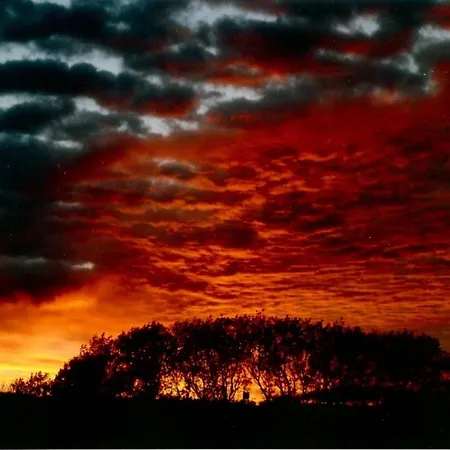 Keller Appartement Eriskirch